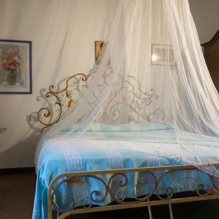 Il Grifone Buriano (Montecatini Val di Cecina)