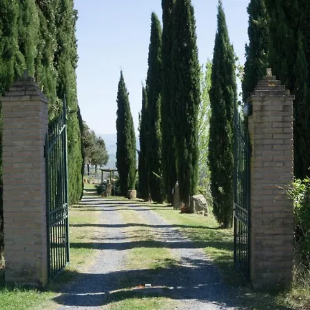 Il Grifone *